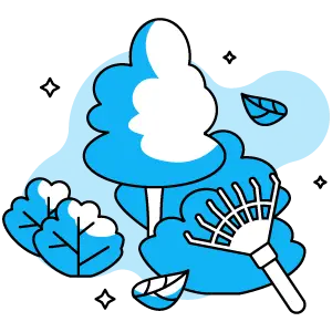 Move out Cleaning Services in Melbourne Australia