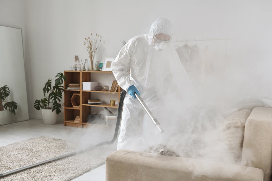 steam cleaning melton